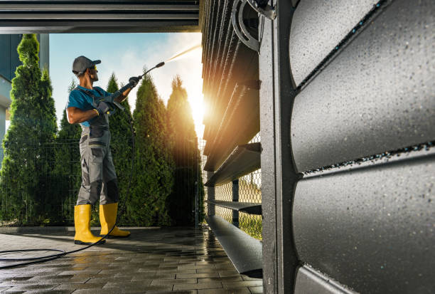 Best Local Pressure Washing Services  in Magnolia, TX